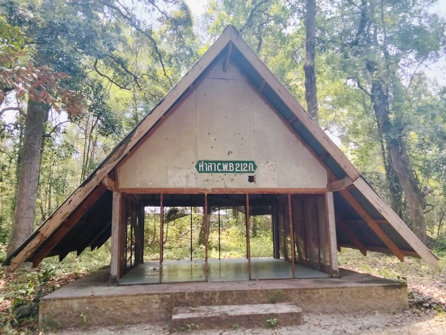 camp_20260623_b05bfb6816b8.jpg