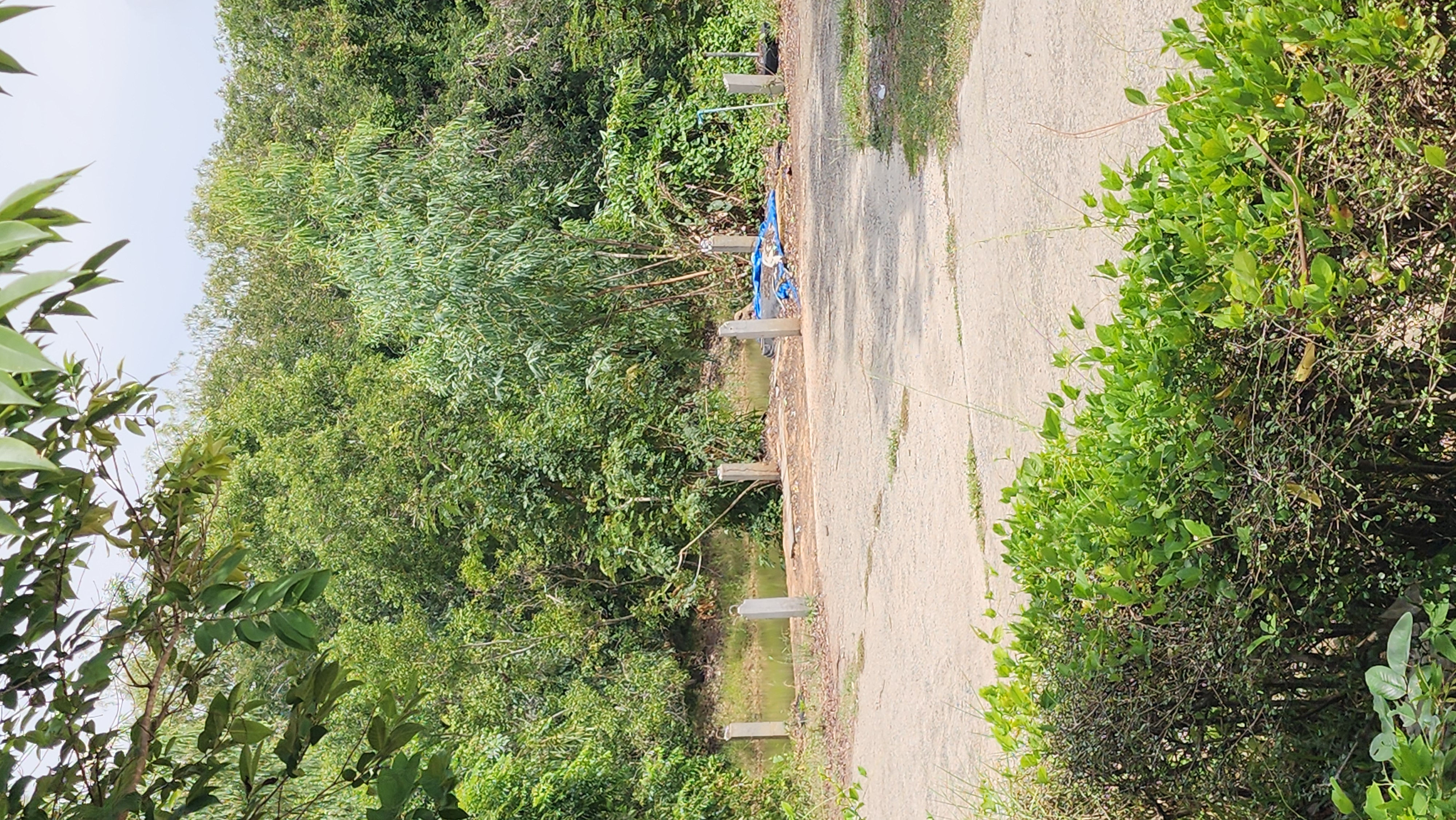 camp_20260629_8ae5e211b8f2.jpg