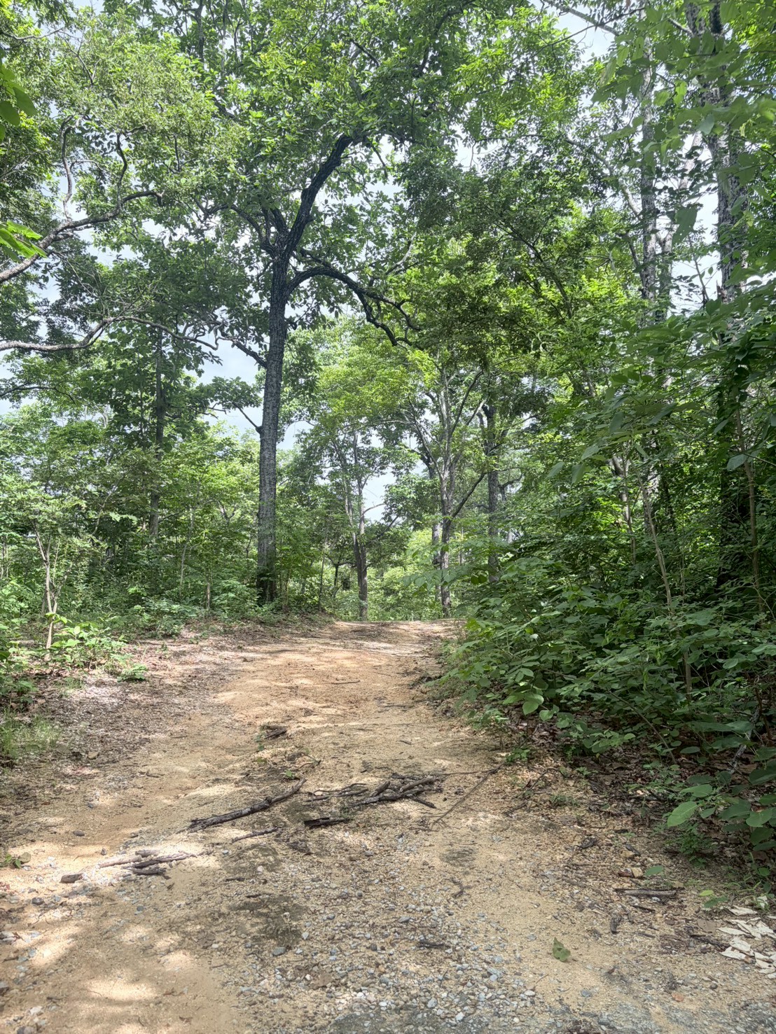 camp_20260702_c6495de22ce8.jpg