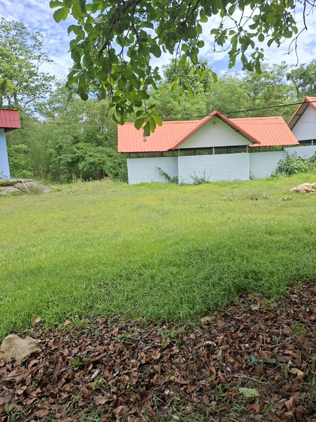 camp_20260702_8ae452ad040d.jpg