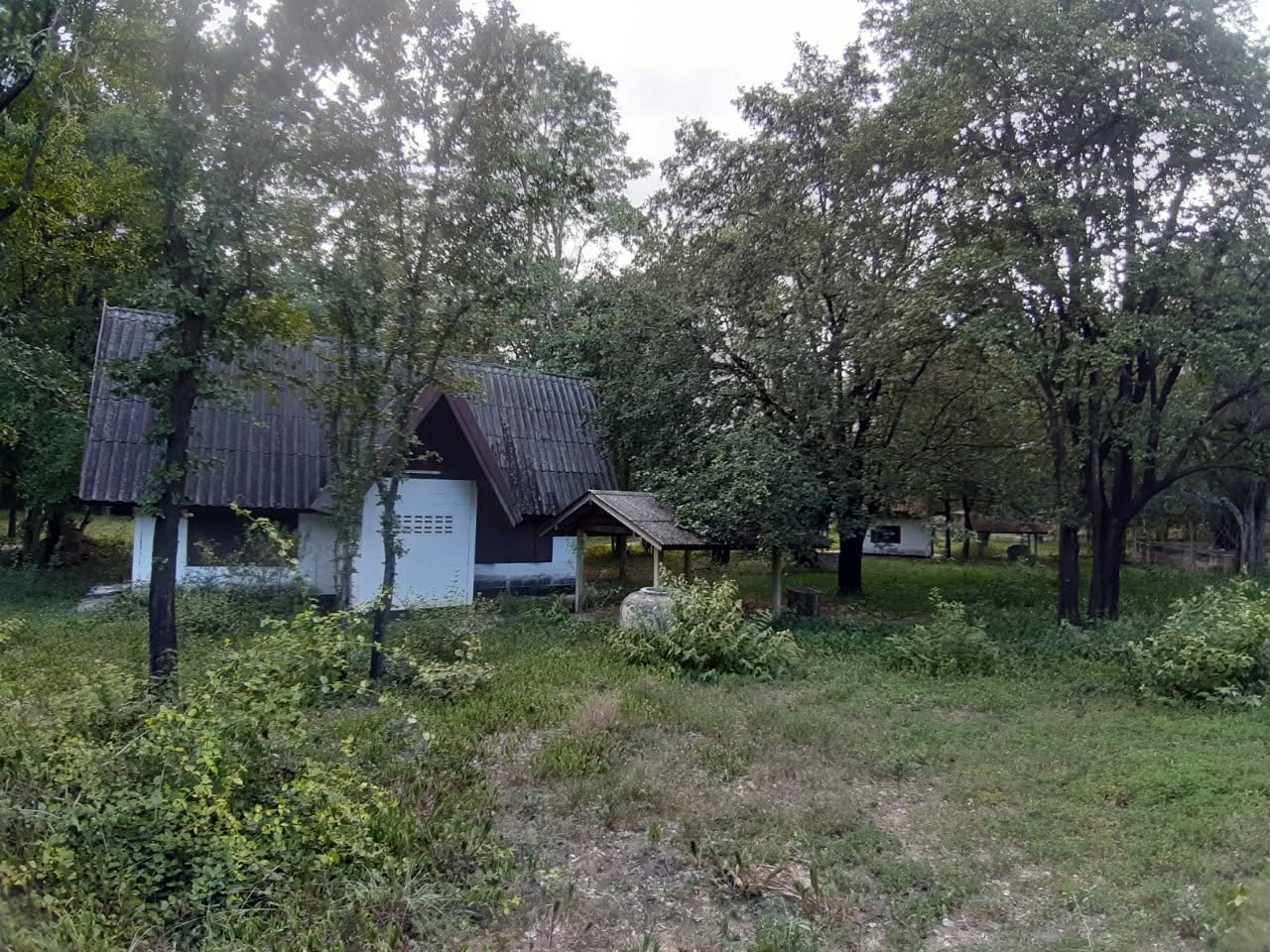 camp_20260609_cf6d8816e738.jpg