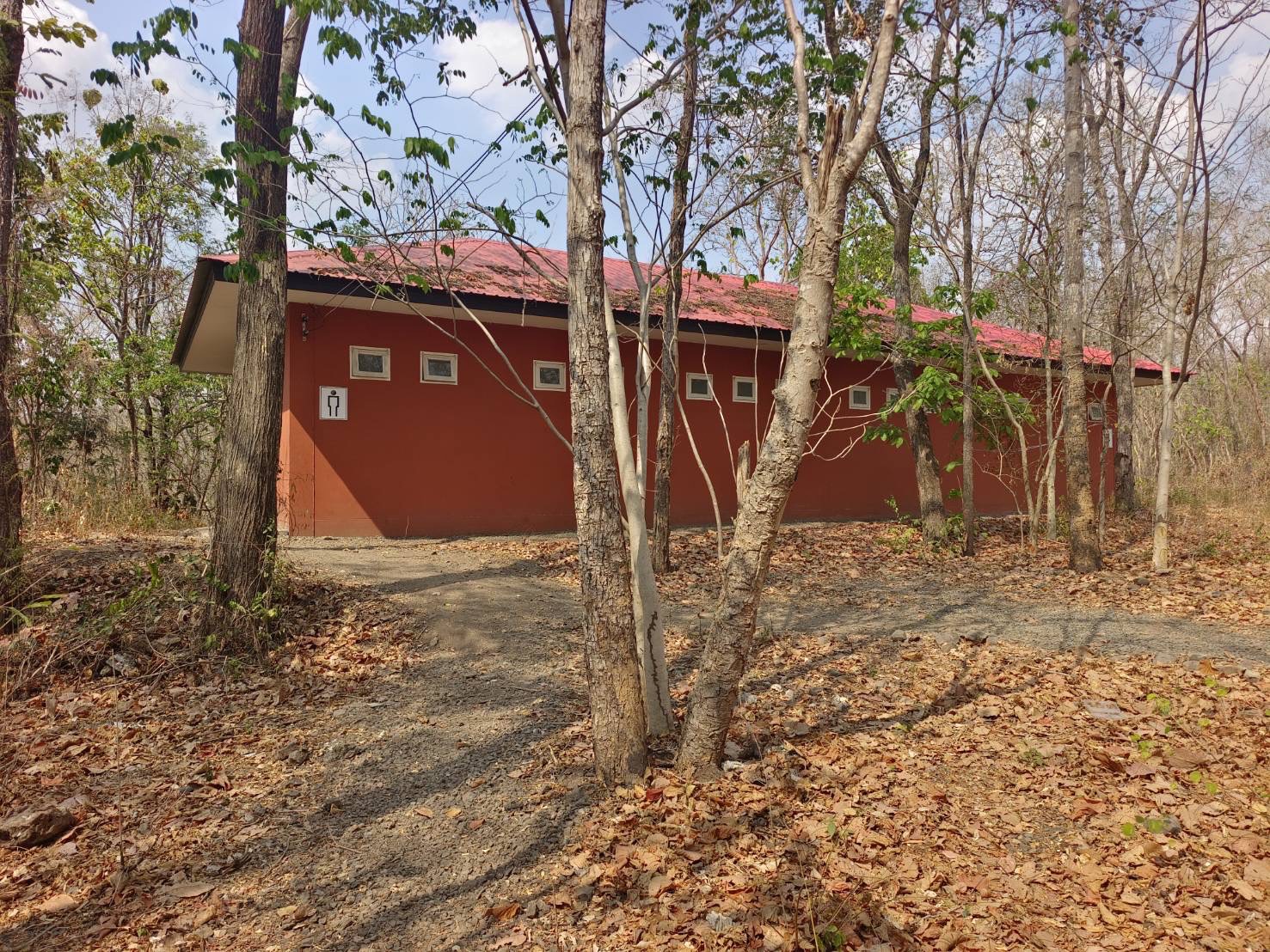 camp_20260610_16be773e48bf.jpg