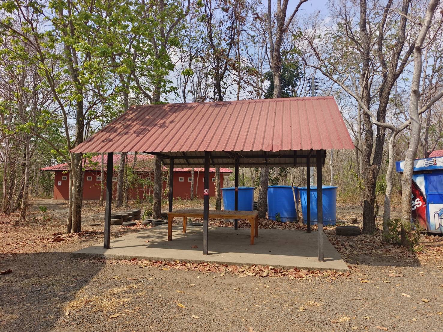 camp_20260610_e3e45c7cb5cd.jpg
